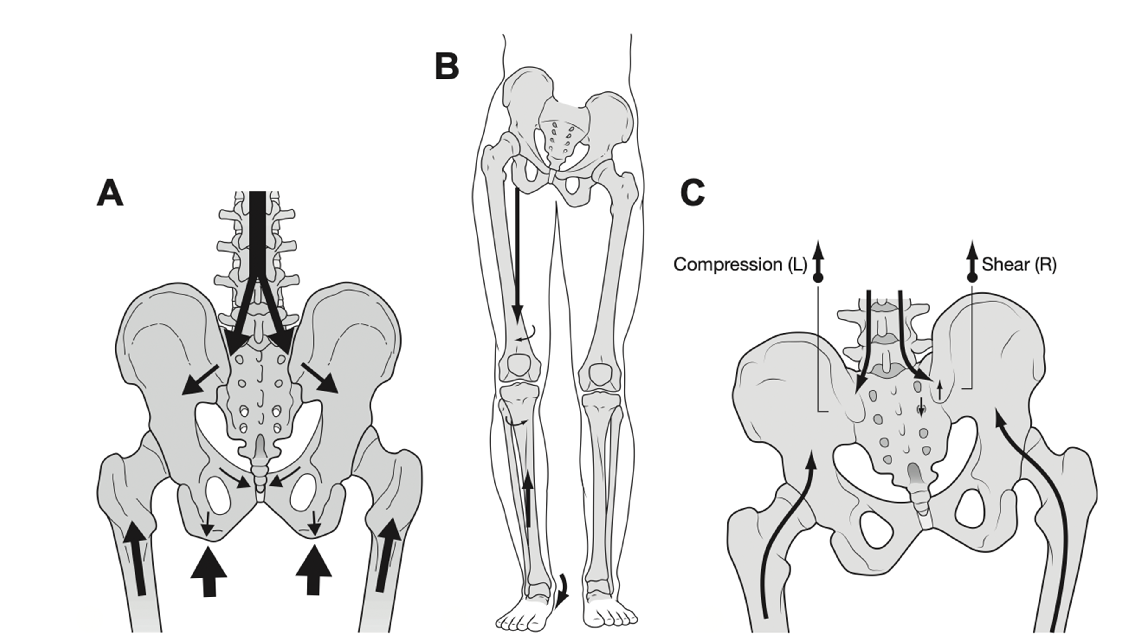 Malalignment Syndrome in Runners - Wolf Schamberger