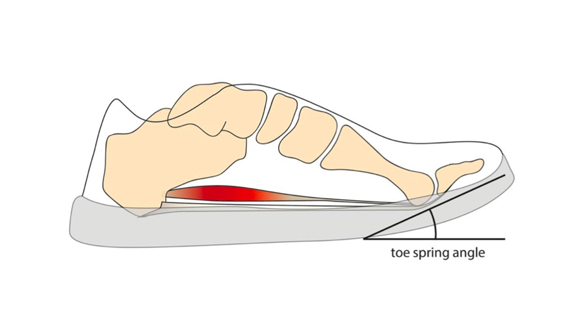 Toe-spring = reduced contact surface?