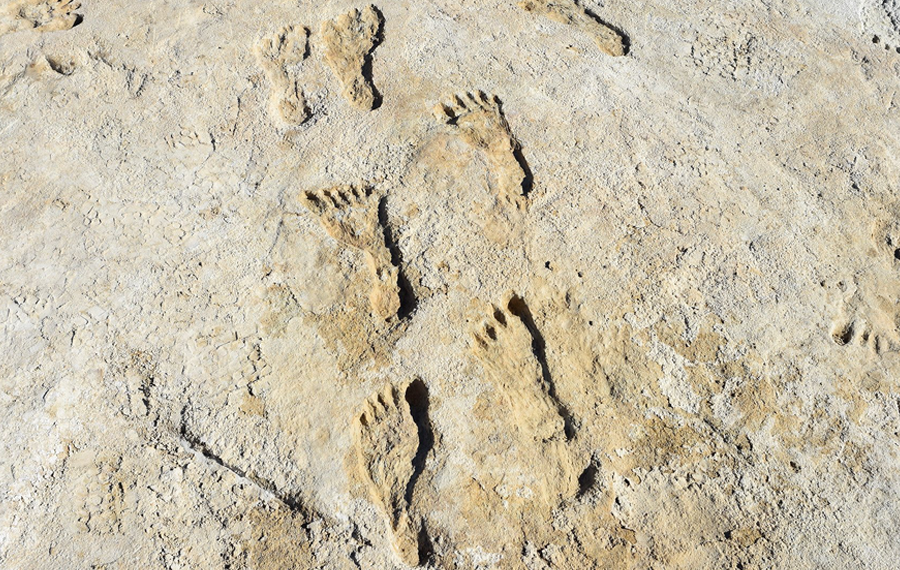 Human fossil footprints