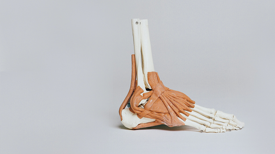 My Foot Function