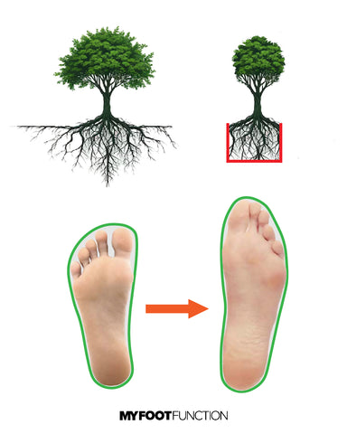 Ilustration showing toes spreading like the roots on a tree vs being constricted.